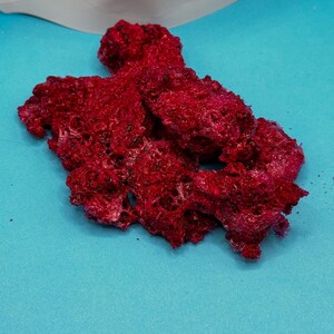 Dragonfruit organic no apeel freeze dried fruit snack crunchy treat