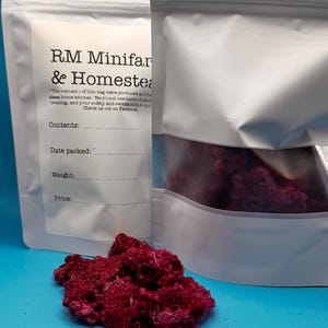 Dragonfruit organic no apeel freeze dried fruit snack crunchy treat