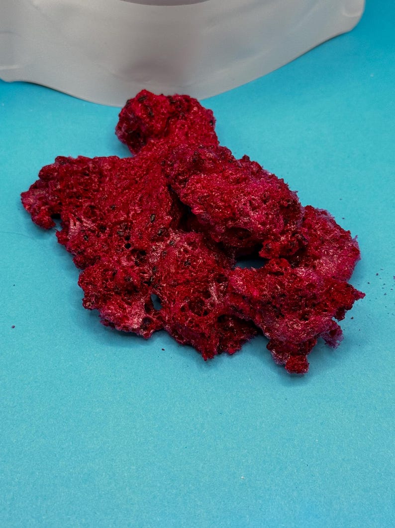 Dragonfruit organic no apeel freeze dried fruit snack crunchy treat