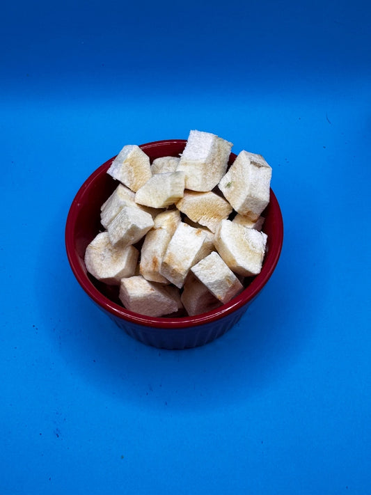 Parsnip freeze dried organic no apeel vegetable veggie snack