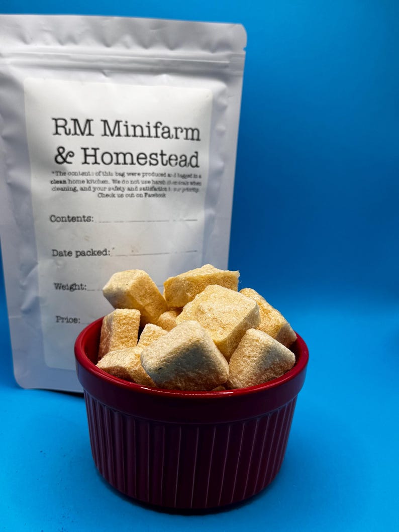 Applesauce organic no apeel freeze dried snack crunchy treat fruit